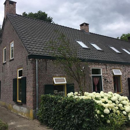Vakantiehuis In Het Voorhuis Dommelen Екстер'єр фото